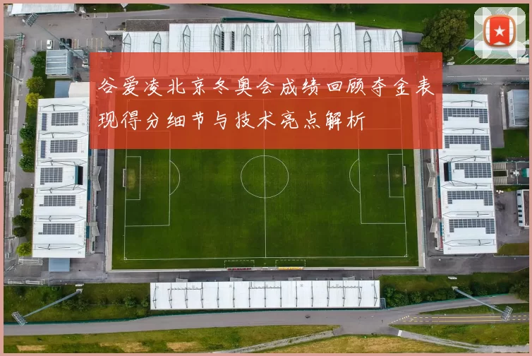 谷爱凌北京冬奥会成绩回顾夺金表现得分细节与技术亮点解析