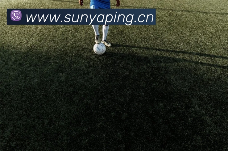 App Interface Preview